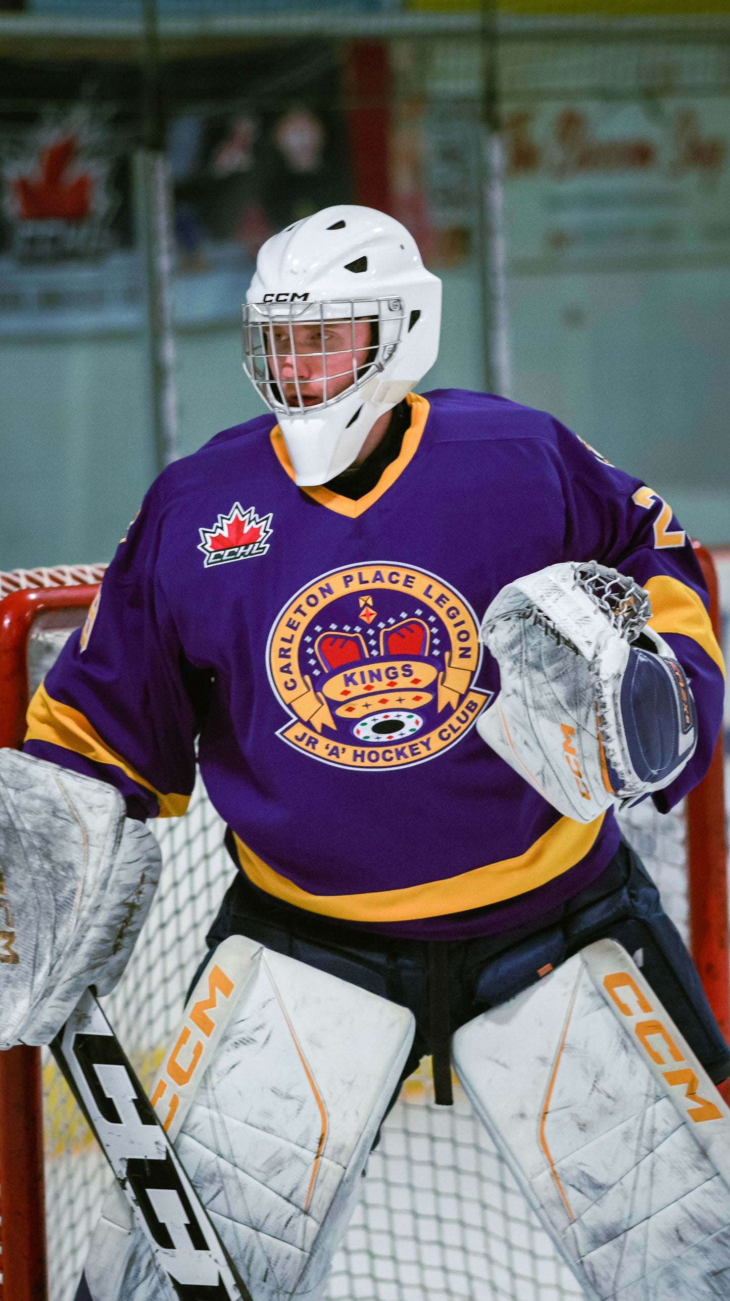 PURPLE LEGION KINGS GAME WORN JERSEYS
